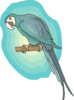 Perched Macaw Clip Art